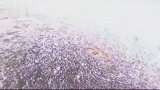 发生了什么银心黑洞增亮了75倍，3种猜测让人细思极恐