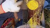 原来烟丝是这样，切出来的