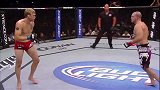 UFC-14年-UFC178前瞻：古斯塔夫森精彩对战集锦-专题