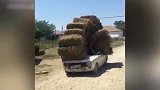 一看就是老司机