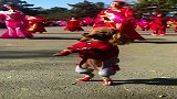 5万块买回来的狗狗就是不一样，居然会扭秧歌！