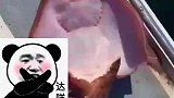 作为一条鱼，表情怎么能这么丰富