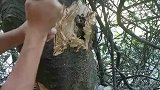 五个人捡蘑菇发现的