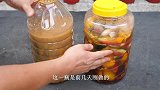“果皮酵素水”养花卉首选，养分丰富，开花更多更艳丽！