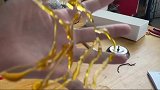 我用糖画了一幅骏马图！