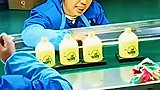 快乐消消乐，千万别请假