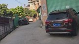 看到主人的拉布拉多，这欢迎的样子搞笑了