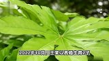 男子再婚生子，为“省钱”竟起诉10岁女儿减少抚养费，法院判了