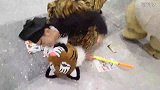 惊奇画风!二次元漫展上演武松打虎