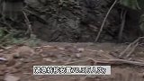 应急管理部：7月份全国因灾死亡失踪147人