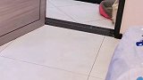 看我家狗子多识趣，萌宠嗨玩季 多多神犬 拉布拉多 霸王花多米