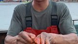 海鲜船长吃双壳梭子蟹