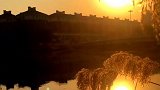 美景分享：夕阳醉了