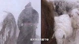 内蒙古第二届短视频大赛优秀作品丨十二城 达西的世界