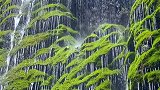 滴水小瀑布，太漂亮了