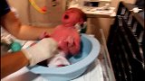 刚出生的宝宝缩在小小的盆里，哭得好无助好没安全感