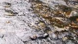 这就是那堵未知石门对面的一条河流