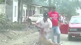 印度街头，比特犬突然发狂了，直接将男子胳膊咬得“鲜血淋漓”！