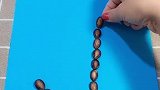 原来葵花籽壳和西瓜子还能这样玩结局惊呆了