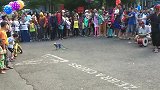 男子在大街上表演耍猴，随后发生的事情让人大开眼界