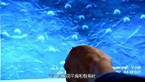 国外发明自我修复混凝土，声称200年不出裂缝，如今获创新大奖