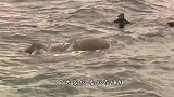 海上漂浮一具“尸体”，男子赶紧上前一探究竟，幸亏没救！