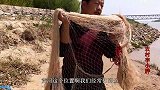 小伙黄河打鱼，一网打中黄河鲫鱼真难得，小伙：像一层银甲太漂亮