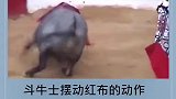 请不要相信牛看到红色会发狂的假消息了