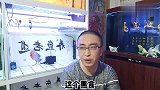 观赏鱼的投喂量如何断定，为什么夏季要防止观赏鱼腹水肠炎？