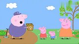 小猪佩奇：佩奇欢欢喜喜找爷爷，给他一个惊喜，把蔬菜皮当成礼物
