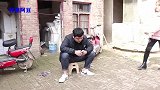 丈夫整天在外吃饭喝酒，妻子独守空房，娘家妈不愿意了