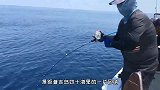 海钓上来一头“小猪崽”是啥感觉？手感杠杠的，过手瘾又过嘴瘾