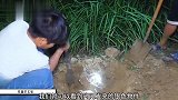 小伙将烧至2000度的铝水倒入蚂蚁巢穴中。没想到收获了一件宝贝