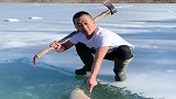 小伙在冰层下发现有大鱼，拿着虎头就开始凿冰，太猛了！