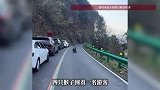 自驾游游客停车围观猴群，一男子被几只猴子拽下裤子！拍摄者回应