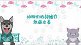 动物神操作！