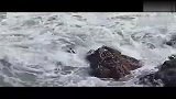 好摄之徒-20110715-在香港盐田湾听海浪声