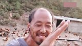老大爷一首《酒醉的蝴蝶》，这么有才华