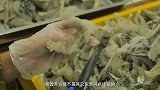 燕窝真是用燕子口水制作的吗？看完生产过程，才明白原因