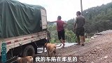 山体滑坡路段，皮卡陷进泥巴，冬宝找老乡用福田车拖，轻松解决！