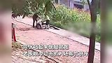飞车党抢槟榔同伙弹射起步人仰车翻！店主追出后帮扶车，监控曝光