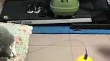 猫：打兵乓球我可是高手呀！