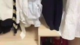 男子晒出女朋友跟自己的衣柜对比，过于真实