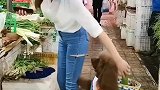 一起去买菜的小狗啊