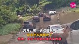快点喂我啊，司机把车都翻烂了
