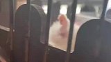 鼠鼠我啊可太难了，喝个水都要先做倒立