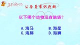 公务员常识判断，哪个动物没有脑袋？颠覆了我的认知