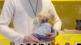 抱狗狗的正确姿势‼️你学会了吗