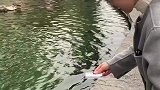 女子去景区游玩看见许愿池，没想到她竟然刷卡许愿