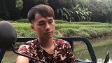 民山小哥：摘柚子发现地上掉满，在树上也被吃，这是什么原因？
